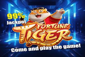 bnk88 Sportsbook Myanmar National League ပွဲစဉ်များ Live Bet